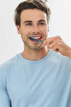 Brush